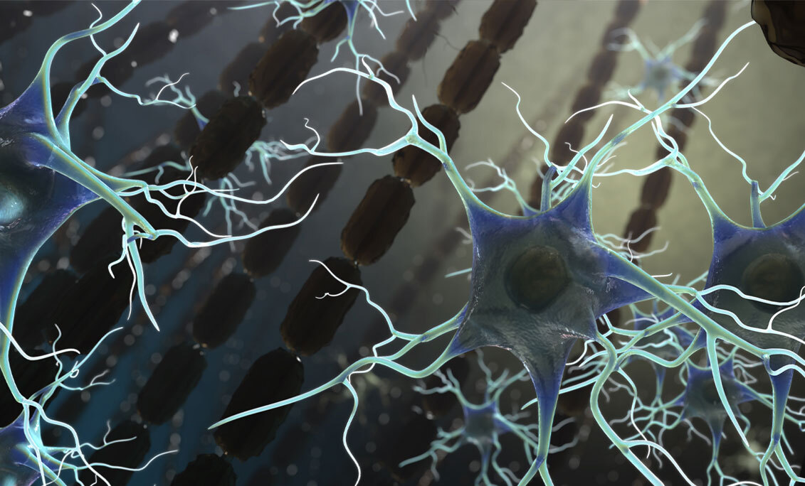 Das Mikrobiom und die LungeHirnAchse Nupure Fachportal